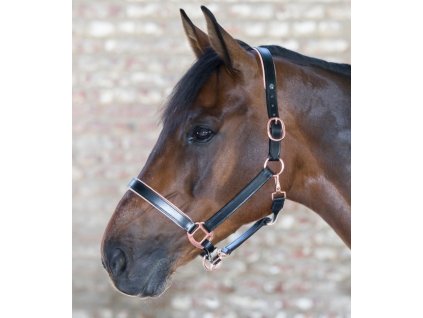 Kantar skórzany podszywany X-Line Waldhausen, czarny