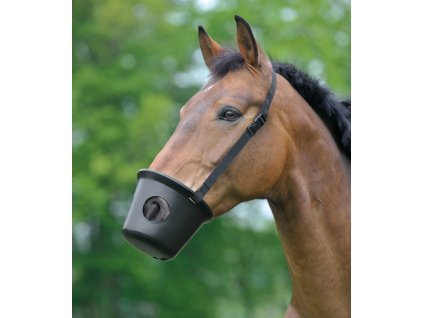 Kaganiec z dziurami Pony Waldhausen, czarny