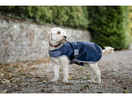 Derka dla psa Ionic Horseware, 50 g, imperial blue/silver & navy (Rozmiar L)