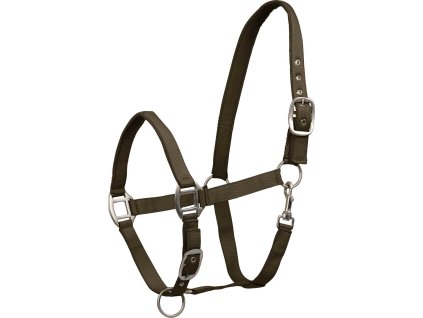 Kantar Satin Waldhausen, zielony brązowy