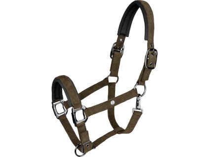 Kantar St. Gallen Waldhausen, green brown