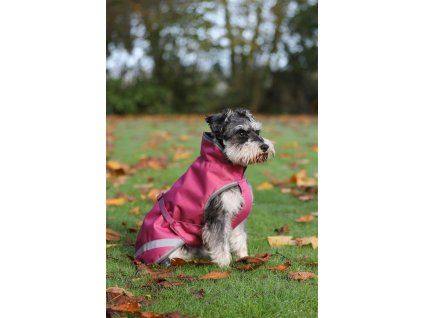 Derka dla psa Freedom Bucas, 50 g, raspberry (Rozmiar 25 cm)