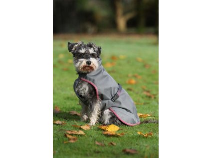 Derka dla psa Freedom Bucas, 50 g, smoke grey