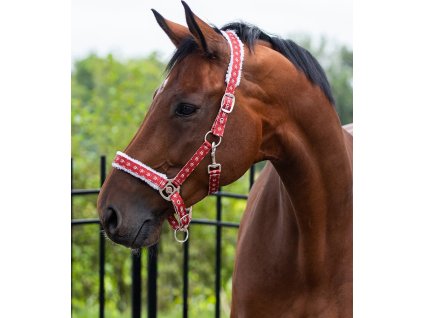 Świąteczny kantar QHP, rudolph