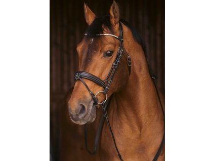 Ogłowie Daily Strass Penelope, czarne