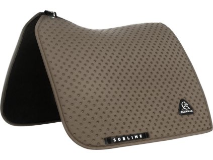 Czaprak Point Acavallo, Ujeżdżeniowy, Terra