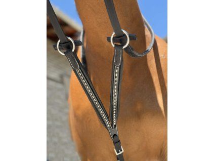 306153002 ambi 1 web