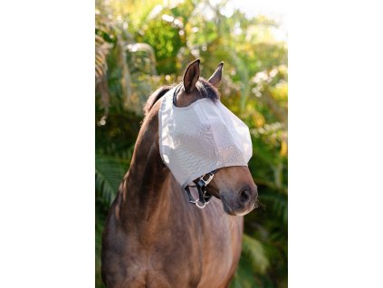 Maska przeciw owadom Amigo, bez ochrony uszu, silver/titanium grey & silver