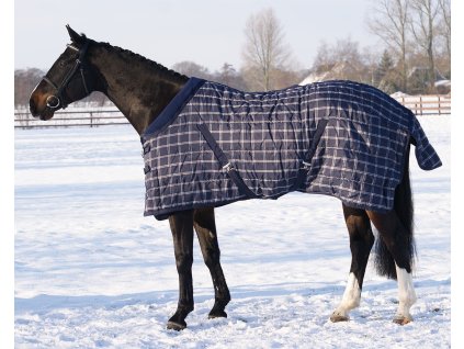 Derka stajenna QHP, 300 g, niebieska krata