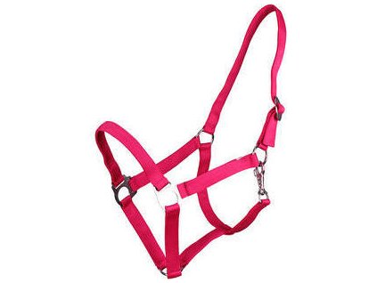 Kantar Slide Q-essentials, fuksja