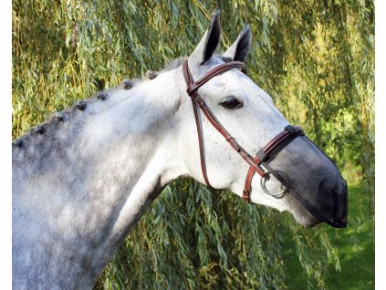 Maska przeciw owadom Q-essentials na nozdrza, czarna