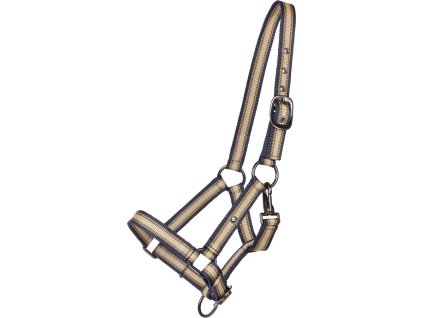 Kantar źrebięcy QHP, sandy beach