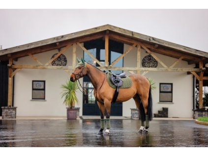 Czaprak Amigo, wszechstronny, bramble