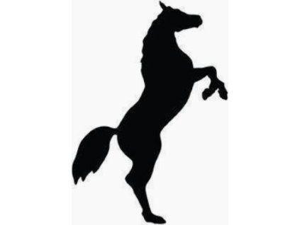 snimek obrazovky 2025 01 18 130746