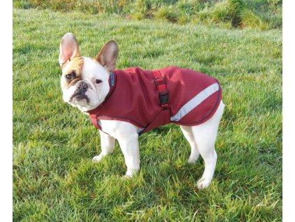 Derka dla psa Freedom Bucas, 50 g, cherry