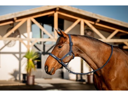 Zestaw Kantar i Uwiąz Amigo, navy