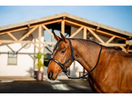 Zestaw kantara i uwiązu Amigo, czarny