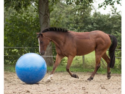 Piłka dla koni QHP, 80–100 cm, niebieska