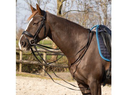 Wodze pomocnicze Basic QHP, czarne (Rozmiar FULL)