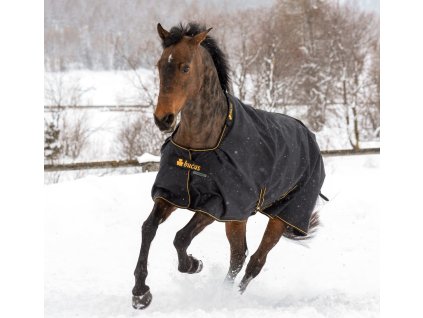 Derka padokowa Irish Bucas, 250 g, black with black/gold trim