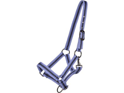 Kantar dla źrebiąt QHP, purple sunset