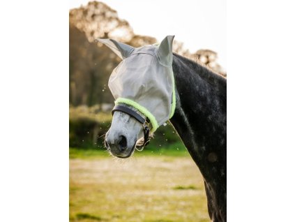 Maska przeciw owadom, z ochroną uszu, silver/lime