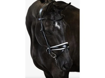 Nachrapnik GP PS of Sweden, black/white