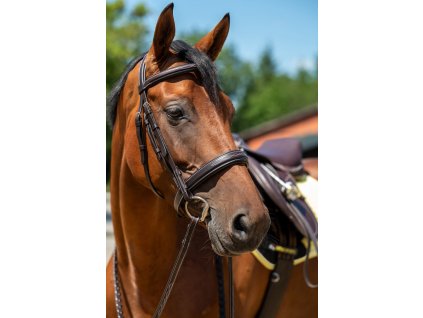 Ogłowie Hunter HKM, dark brown