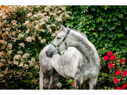 Kantar Signature Braided Horseware, brown/navy & blue haze