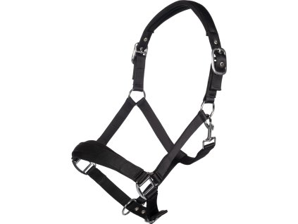 Wyściełany Kantar Catherine HKM, czarny