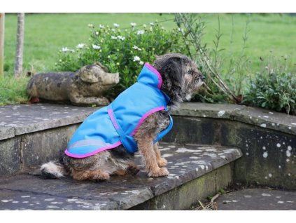 Derka dla psa Freedom Bucas, 50 g, denim