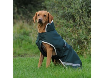 Derka dla psa Greenline Bucas, 50 g, green/cream