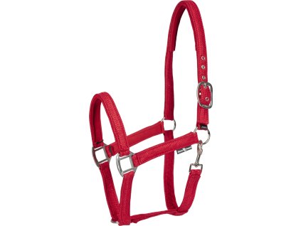 Kantar Jewel HorseGuard, red