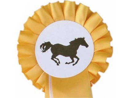 horseandme2hkm goldweiss