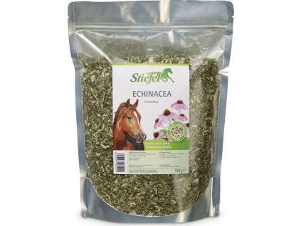 289 eb7f9624 stiefel echinacea 500g st003102