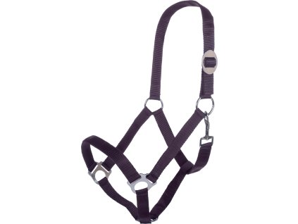 Kantar Stars Economy HKM, dark lilac