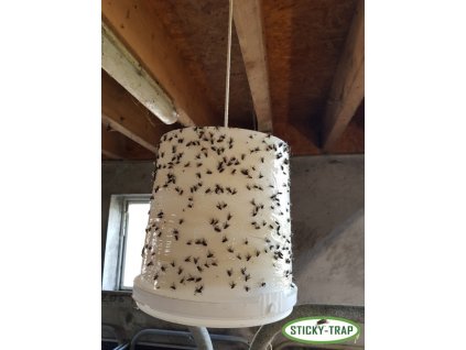 Zestaw 3 wiaderek Sticky Trap, biały