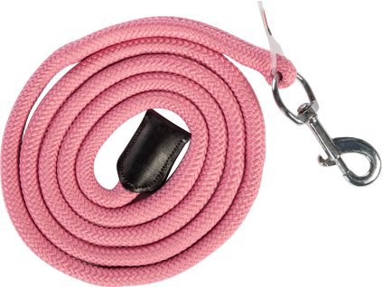 Uwiąz Carlotta HKM, 1.8 m, rose