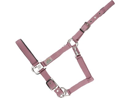 Kantar Everyday USG, paisley rose