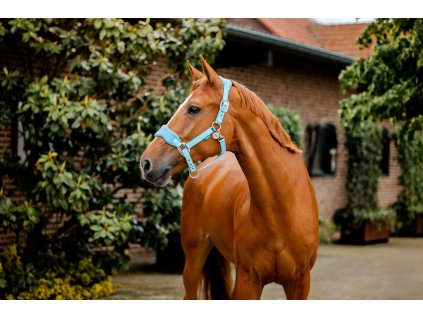 Wyściełany Kantar Grooming Signature Horseware, niebieski