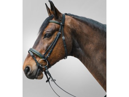 Ogłowie STAR Diamond - zielone