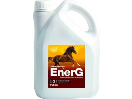 80730 471 a652ab2e energ 2l czech