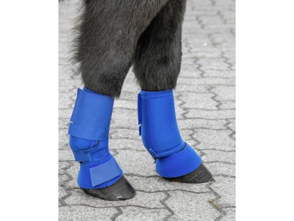 Ochraniacze treningowe Shetty USG, para, royal blue