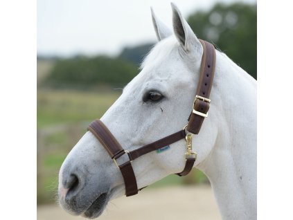 Kantar Comfort Bucas, brązowy