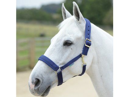 Kantar Comfort Bucas, navy (Rozmiar PONY)