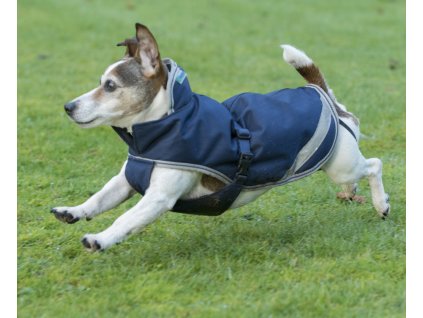 Derka dla psa Freedom Bucas, 300 g, navy/silver