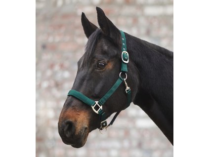 Kantar Perlon Satin Waldhausen, fir green