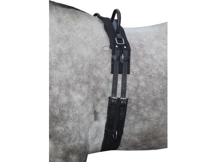 Pas do lonżowania Canvas HKM, czarny