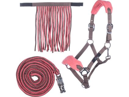 Kantar i uwiąz z karabińczykiem bezpiecznym i frędzlami HKM, mocca/milky pink