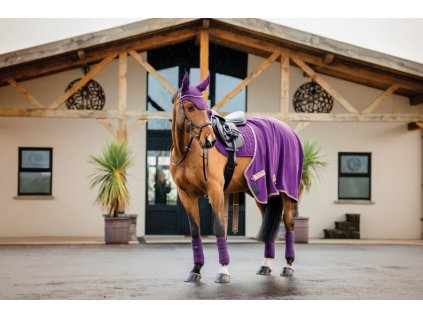 Czaprak Amigo, wszechstronny, winterberry